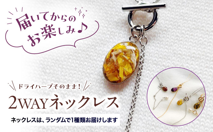 ハーブ纏うアクセサリー 2WAYネックレス 【ハーブおまかせ】 ネックレス アクセサリー チェーン ボタニカルアクセサリー レディース ハンドメイド 三次市 / SAMPO [APCW001]