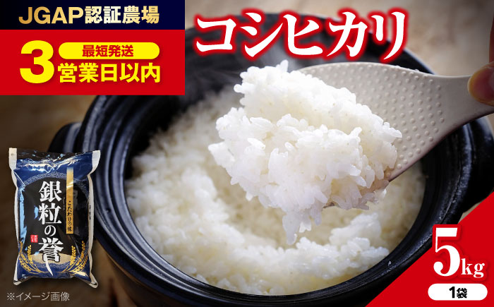 【令和7年産米】こしひかり 5kg【スピード発送】米 白米 お米 ご飯 コシヒカリ 三次市/アグリ君田 [APDC001]