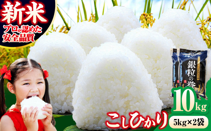 【令和7年産米】【スピード発送】米 こしひかり 10kg 白米 お米 ご飯 コシヒカリ 三次市/アグリ君田 [APDC002]