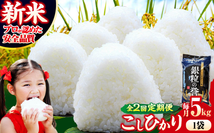 【全2回定期便】 【令和7年産米】 米 こしひかり 5kg 白米 お米 ご飯 コシヒカリ 三次市/アグリ君田 [APDC003]