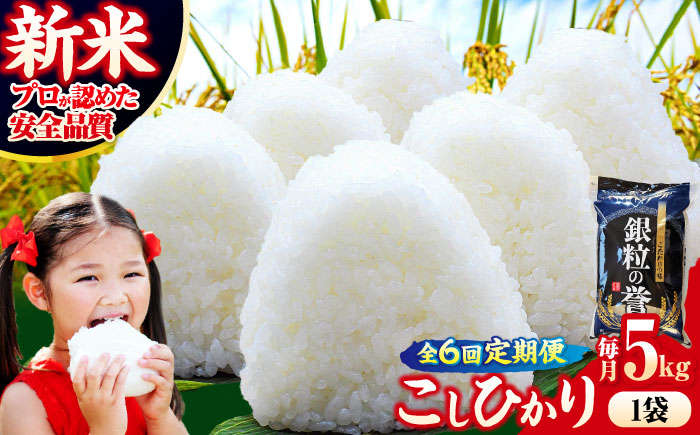 【全6回定期便】 【令和7年産米】 米 こしひかり 5kg 白米 お米 ご飯 コシヒカリ 三次市/アグリ君田 [APDC005]