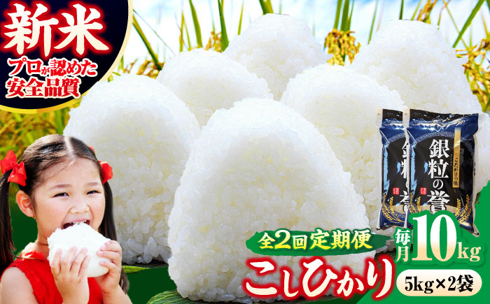 【全2回定期便】 【令和7年産米】 米 こしひかり 10kg 白米 お米 ご飯 コシヒカリ 三次市/アグリ君田 [APDC006]