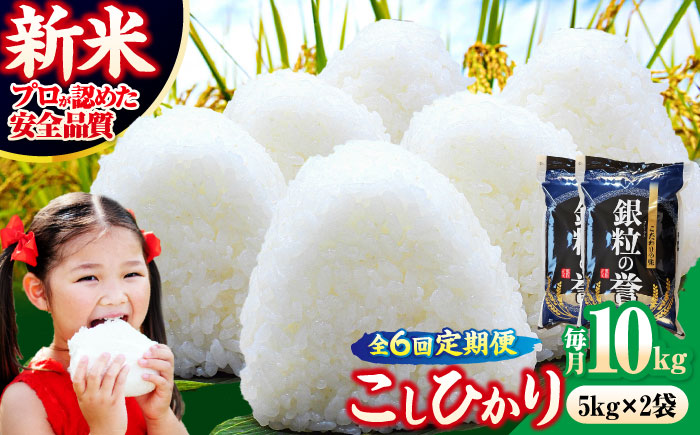 【全6回定期便】 【令和7年産米】 米 こしひかり 10kg 白米 お米 ご飯 コシヒカリ 三次市/アグリ君田 [APDC008]
