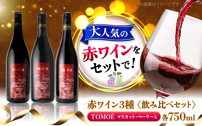 〜三次のMBAを味わう〜マスカット・ベーリーA 3ヴァインヤードセット ワイン 受賞 飲み比べ ワインセット ギフト 三次市/広島三次ワイナリー [APAZ031]