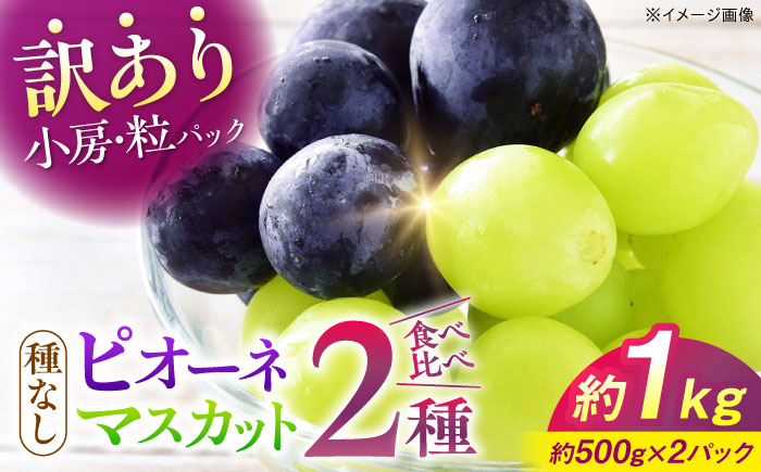 [先行予約][9月中旬から9月末に順次発送][訳あり]ピオーネ&シャインマスカット 2種セット 計約1kg(各約500g×1パック)露地栽培 ぶどう ピオーネ マスカット 三次市/西田ぶどう園 [APCM008]