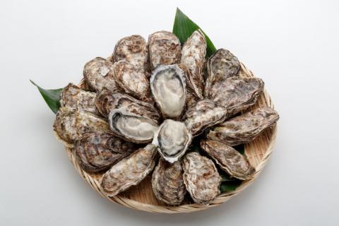 オレの牡蠣アミスイ 殻付牡蠣 3kg｜朝どれ 生食用 殻付き かき カキ 大粒 生牡蠣 生かき 生がき 生カキ 生ガキ 貝 シーフード オイスター 海産物 海鮮 魚介類 海の幸 海のミルク 濃厚 BBQ バーベキュー カンカン焼き ガンガン焼き かんかん焼き がんがん焼き おおたけカキ 広島 大竹 玖波 宮島 瀬戸 国産 産地直送 [1806]