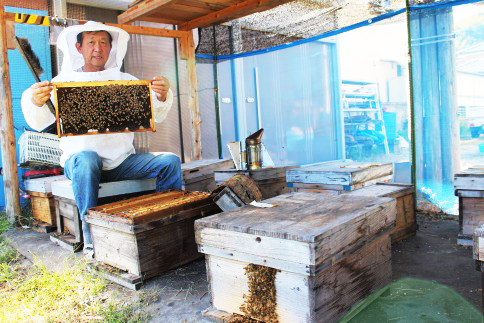 たぁちゃんのはちみつ 600g×2本 [1642]