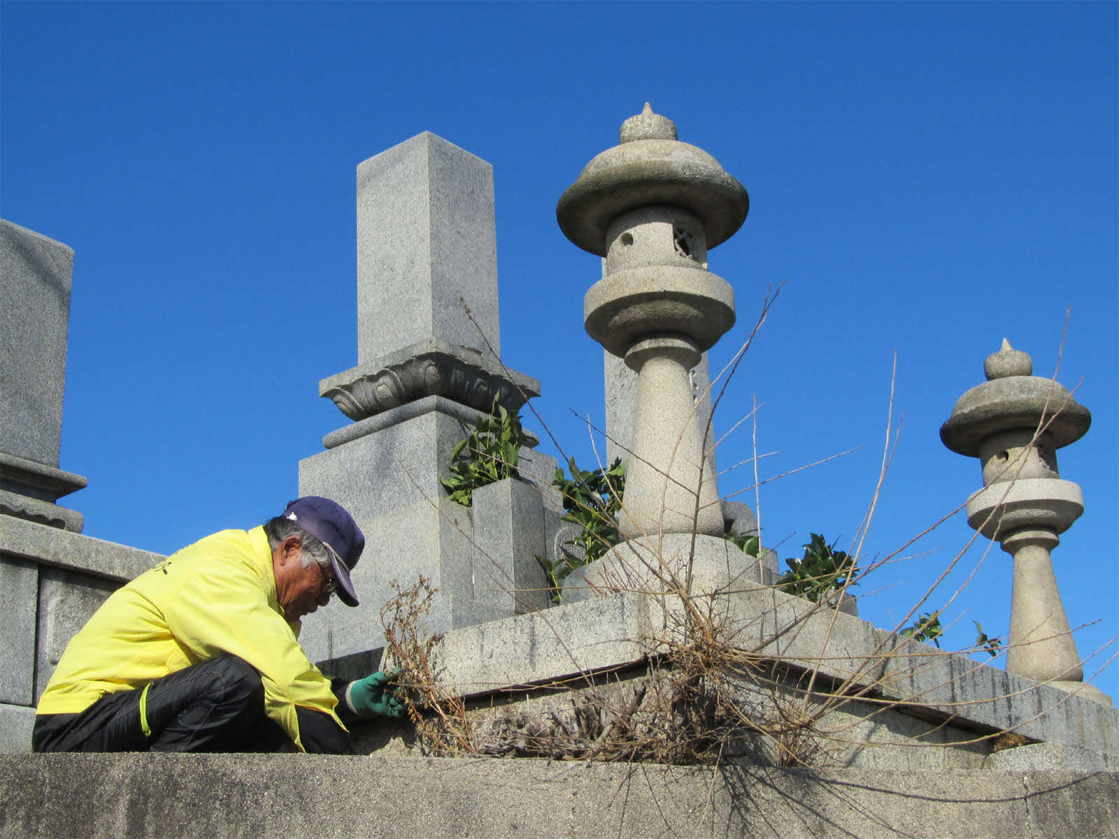 故郷はまかせて！お墓を代わりにお参り【お墓参り代行サービス 献花・清掃付き】[1436]