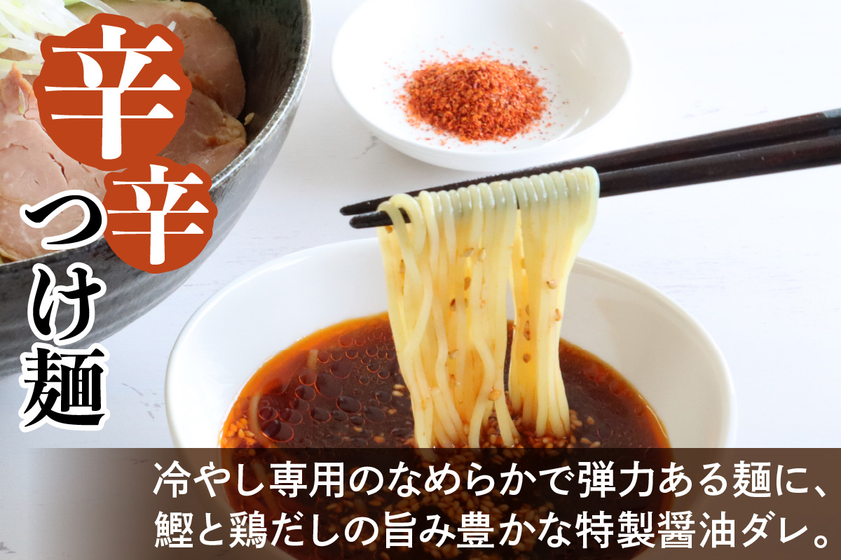 瀬戸内麺工房なか川「広島流 辛辛つけ麺10食セット」 (10袋、たれ、すり胡麻、辛味パウダー付き) [1924]