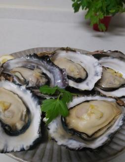 オレの牡蠣アミスイ 殻付牡蠣 2kg｜朝どれ 生食用 殻付き かき カキ 大粒 生牡蠣 生かき 生がき 生カキ 生ガキ 貝 シーフード オイスター 海産物 海鮮 魚介類 海の幸 海のミルク 濃厚 BBQ バーベキュー カンカン焼き ガンガン焼き かんかん焼き がんがん焼き おおたけカキ 広島 大竹 玖波 宮島 瀬戸 国産 産地直送 [1805]