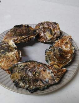 オレの牡蠣アミスイ 殻付牡蠣 5kg｜朝どれ 生食用 殻付き かき カキ 大粒 生牡蠣 生かき 生がき 生カキ 生ガキ 貝 シーフード オイスター 海産物 海鮮 魚介類 海の幸 海のミルク 濃厚 BBQ バーベキュー カンカン焼き ガンガン焼き かんかん焼き がんがん焼き おおたけカキ 広島 大竹 玖波 宮島 瀬戸 国産 産地直送 [1808]