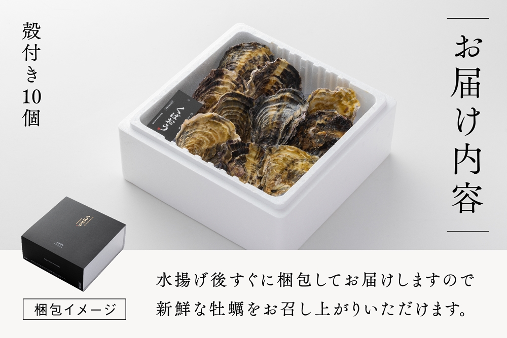 [2026年1月8日より発送！] くばおう 殻付き牡蠣 10個 (約2人前) 広島県 大竹市 玖波産｜広島 広島牡蠣 玖波 殻付き牡蠣 生牡蠣 焼き牡蠣 バーベキュー BBQ 先行予約 [1876]