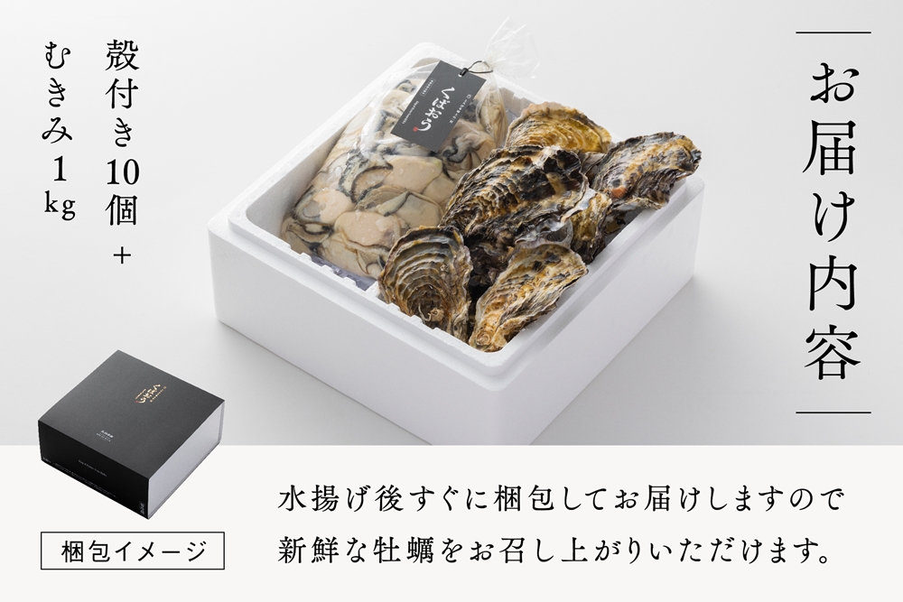 [2026年1月8日より発送！] くばおう 殻付き牡蠣 10個+ むきみ牡蠣 1kg セット 広島県 大竹市 玖波産｜広島 広島牡蠣 玖波 むきみ牡蠣 生牡蠣 牡蠣鍋 牡蠣めし カキフライ 焼き牡蠣 バーベキュー BBQ 先行予約 [1879]