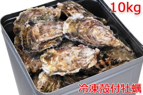 冷凍 殻付 牡蠣 10kg｜朝どれ 冷凍 加熱用 かき 大粒 貝 シーフード オイスター 海鮮 濃厚 BBQ バーベキュー ガンガン焼き おおたけカキ 特大サイズ 広島県産 大竹市 玖波 宮島 瀬戸 国産 産地直送 [2222]