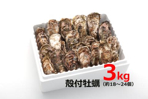 オレの牡蠣アミスイ 殻付牡蠣 3kg｜朝どれ 生食用 殻付き かき カキ 大粒 生牡蠣 生かき 生がき 生カキ 生ガキ 貝 シーフード オイスター 海産物 海鮮 魚介類 海の幸 海のミルク 濃厚 BBQ バーベキュー カンカン焼き ガンガン焼き かんかん焼き がんがん焼き おおたけカキ 広島 大竹 玖波 宮島 瀬戸 国産 産地直送 [1806]