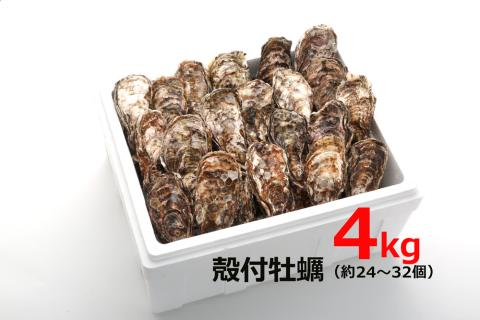 オレの牡蠣アミスイ 殻付牡蠣 4kg｜朝どれ 生食用 殻付き かき カキ 大粒 生牡蠣 生かき 生がき 生カキ 生ガキ 貝 シーフード オイスター 海産物 海鮮 魚介類 海の幸 海のミルク 濃厚 BBQ バーベキュー カンカン焼き ガンガン焼き かんかん焼き がんがん焼き おおたけカキ 広島 大竹 玖波 宮島 瀬戸 国産 産地直送 [1807]