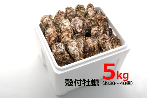 オレの牡蠣アミスイ 殻付牡蠣 5kg｜朝どれ 生食用 殻付き かき カキ 大粒 生牡蠣 生かき 生がき 生カキ 生ガキ 貝 シーフード オイスター 海産物 海鮮 魚介類 海の幸 海のミルク 濃厚 BBQ バーベキュー カンカン焼き ガンガン焼き かんかん焼き がんがん焼き おおたけカキ 広島 大竹 玖波 宮島 瀬戸 国産 産地直送 [1808]