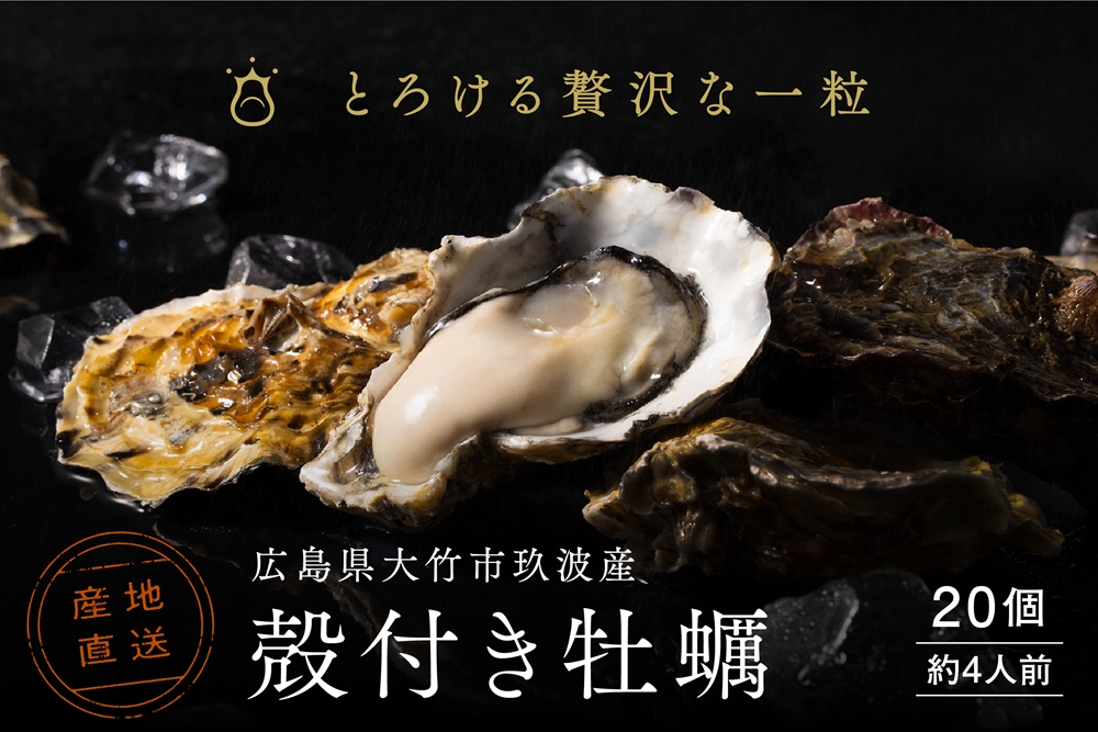 [2026年1月8日より発送！] くばおう 殻付き牡蠣 20個 (約4人前) 広島県 大竹市 玖波産｜広島 広島牡蠣 玖波 殻付き牡蠣 生牡蠣 焼き牡蠣 バーベキュー BBQ 先行予約 [1734]
