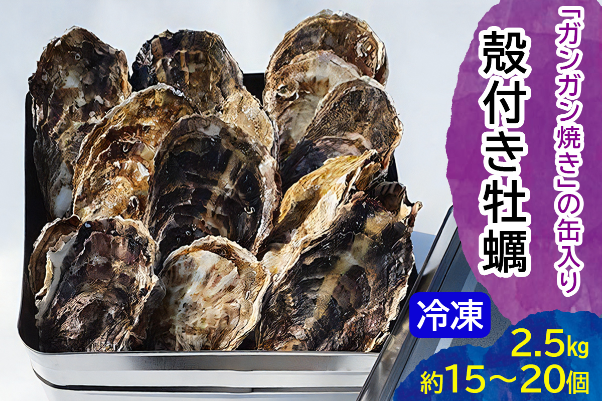 オレのガンガン焼き (冷凍殻付) 2.5kg (約15個から20個)｜牡蠣 殻付き牡蠣 海の幸 貝類 [2221]