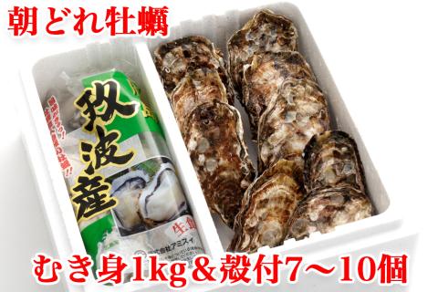 オレの牡蠣アミスイ むき身＆殻付 牡蠣 Aセット｜朝どれ 生食用 かき カキ 大粒 生牡蠣 生かき 生がき 生カキ 生ガキ 殻付き むき身 剥き身 むきかき 殻むき不要 便利 人気 おすすめ 貝 シーフード オイスター 海産物 海鮮 魚介類 海の幸 海のミルク 濃厚 BBQ バーベキュー カンカン焼き ガンガン焼き かんかん焼き がんがん焼き おおたけカキ 広島 大竹 玖波 宮島 瀬戸 国産 産地直送 [1882]