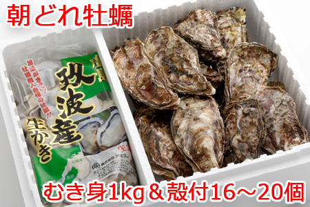 オレの牡蠣アミスイ むき身＆殻付 牡蠣 Bセット｜朝どれ 生食用 かき カキ 大粒 生牡蠣 生かき 生がき 生カキ 生ガキ 殻付き むき身 剥き身 むきかき 殻むき不要 便利 人気 おすすめ 貝 シーフード オイスター 海産物 海鮮 魚介類 海の幸 海のミルク 濃厚 BBQ バーベキュー カンカン焼き ガンガン焼き かんかん焼き がんがん焼き おおたけカキ 広島 大竹 玖波 宮島 瀬戸 国産 産地直送 [1883]
