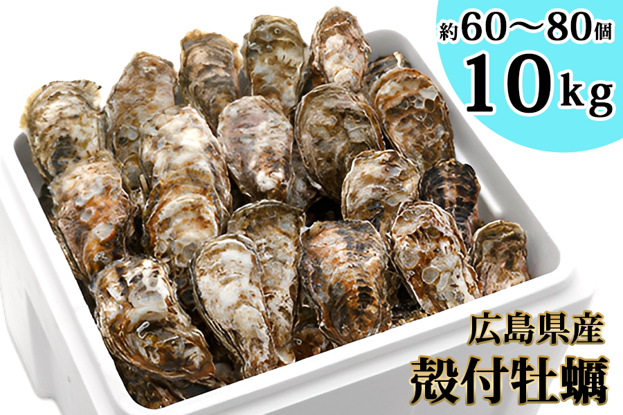 オレの牡蠣アミスイ 殻付 牡蠣 10kg｜朝どれ 生食用 殻付き かき カキ 大粒 生牡蠣 生かき 生がき 生カキ 生ガキ 貝 シーフード オイスター 海産物 海鮮 魚介類 海の幸 海のミルク 濃厚 BBQ バーベキュー カンカン焼き ガンガン焼き かんかん焼き がんがん焼き おおたけカキ 広島 大竹 玖波 宮島 瀬戸 国産 産地直送 [1747]