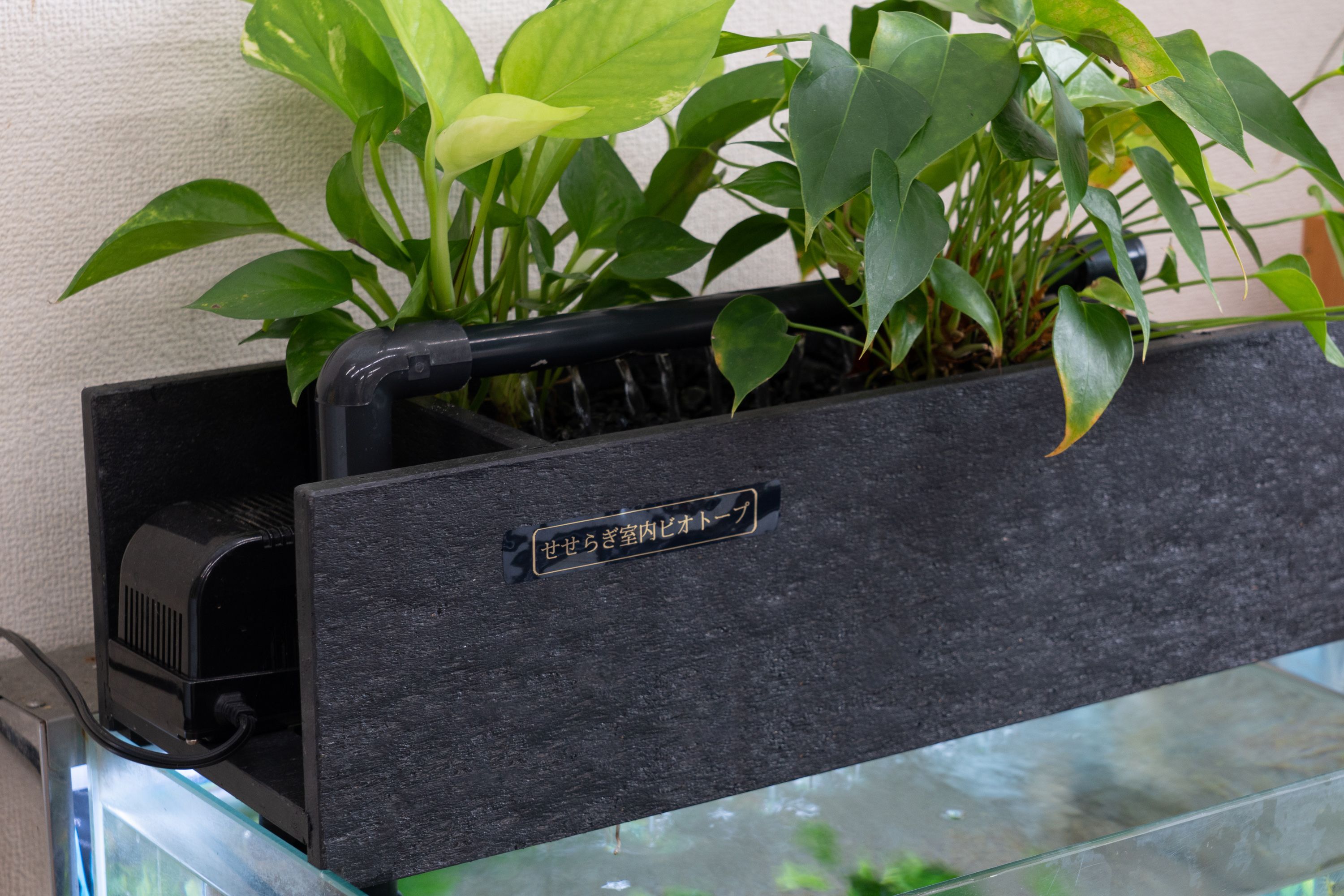 せせらぎビオトープ　60cm型ろ過装置・縁なし水槽用（※水槽はついていません）