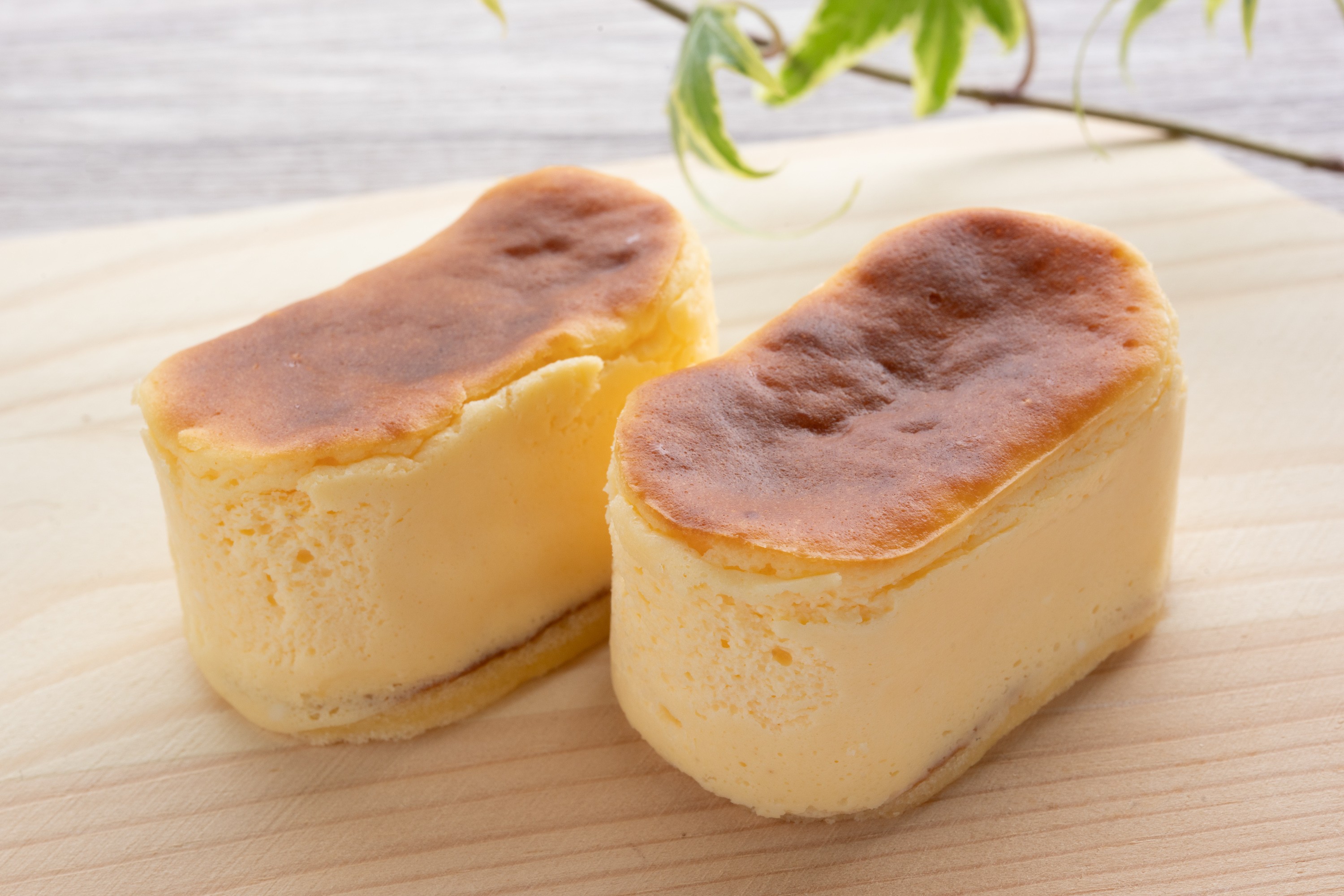 カドーレチーズケーキセット