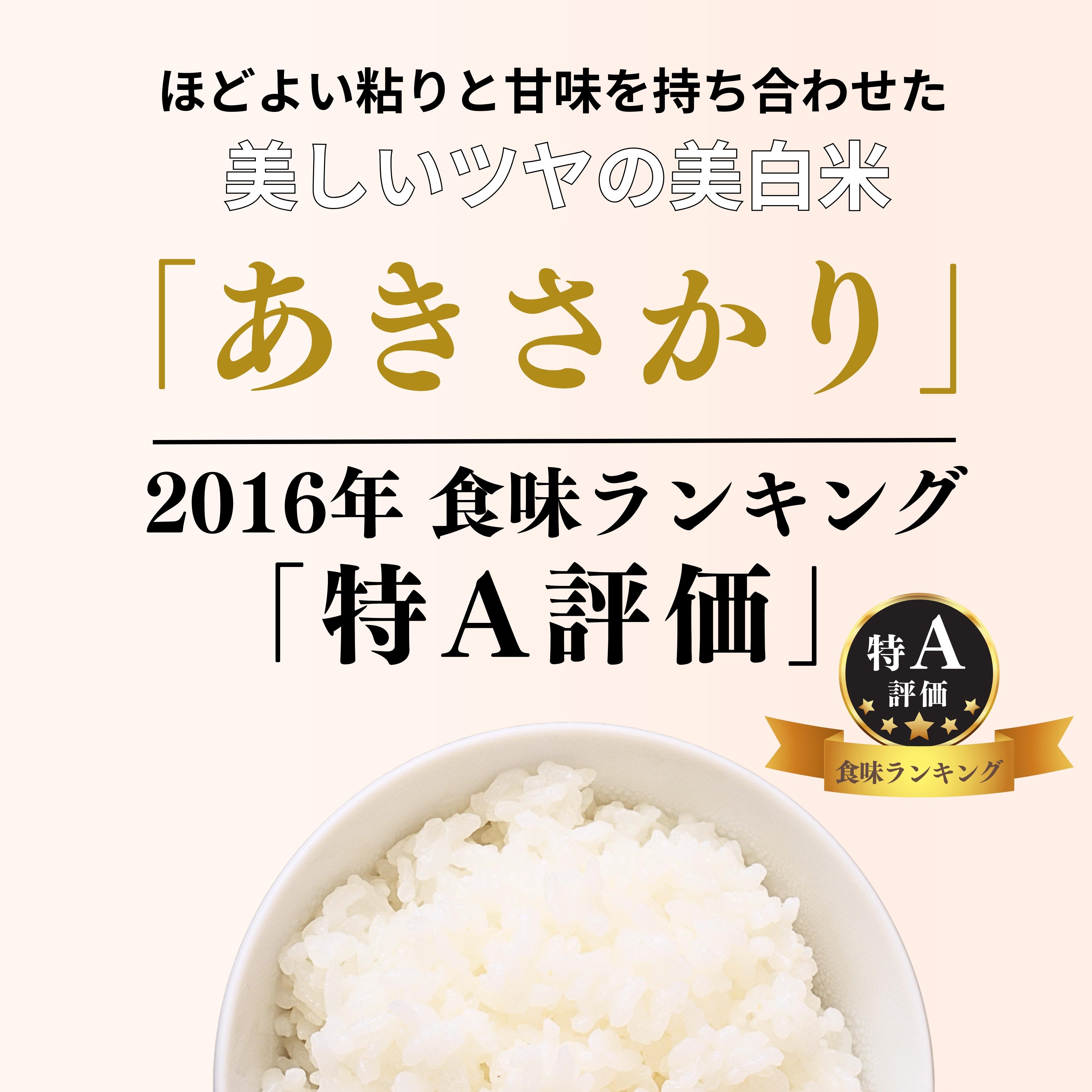 【定期便】令和7年産 10kg 【6ヵ月連続お届け】 計60kg 広島県産 あきさかり お米マイスター厳選