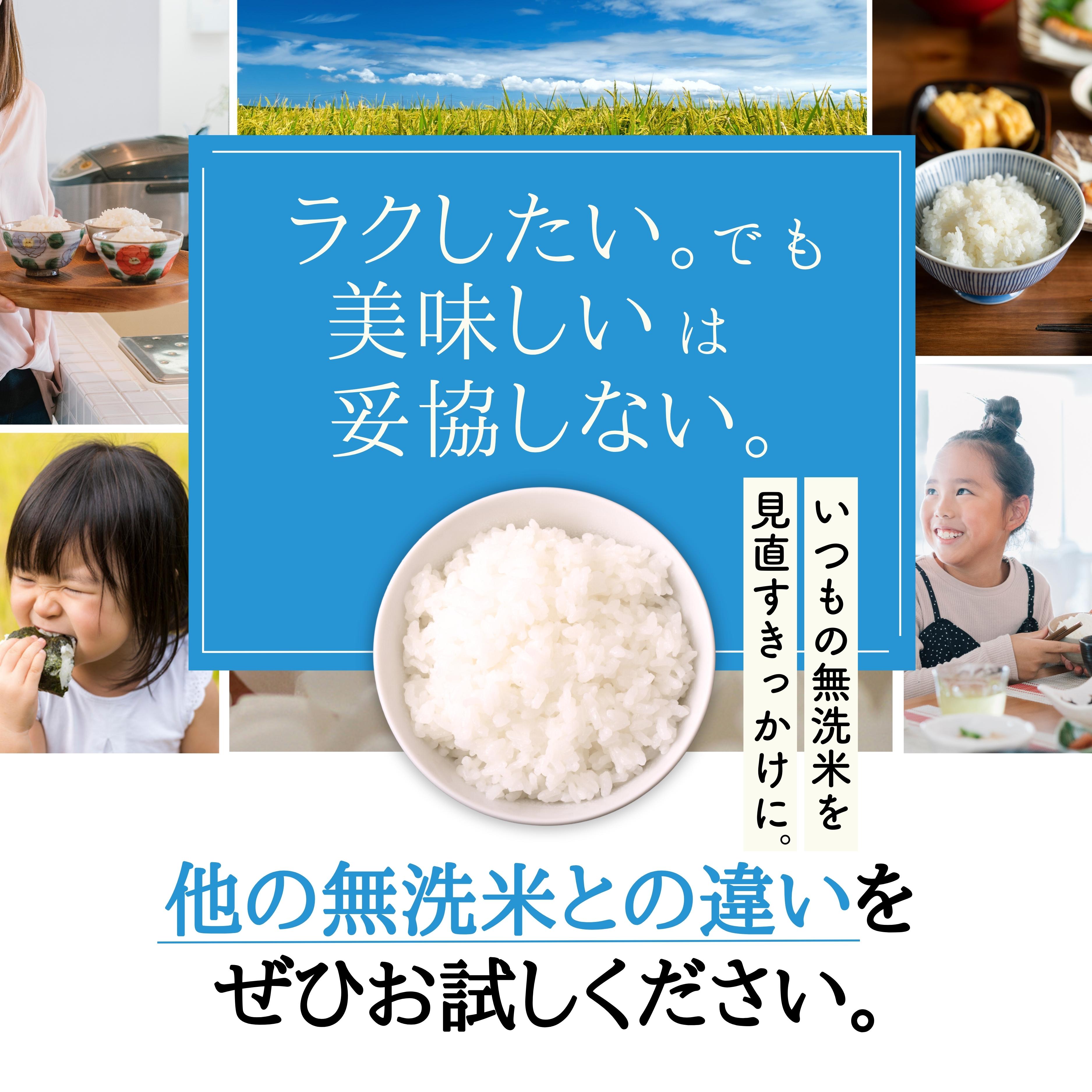 【定期便】令和7年産 5kg【12ヵ月連続お届け】 計60kg 広島県産 無洗米 ラクしても美味しさそのまま お米マイスター厳選