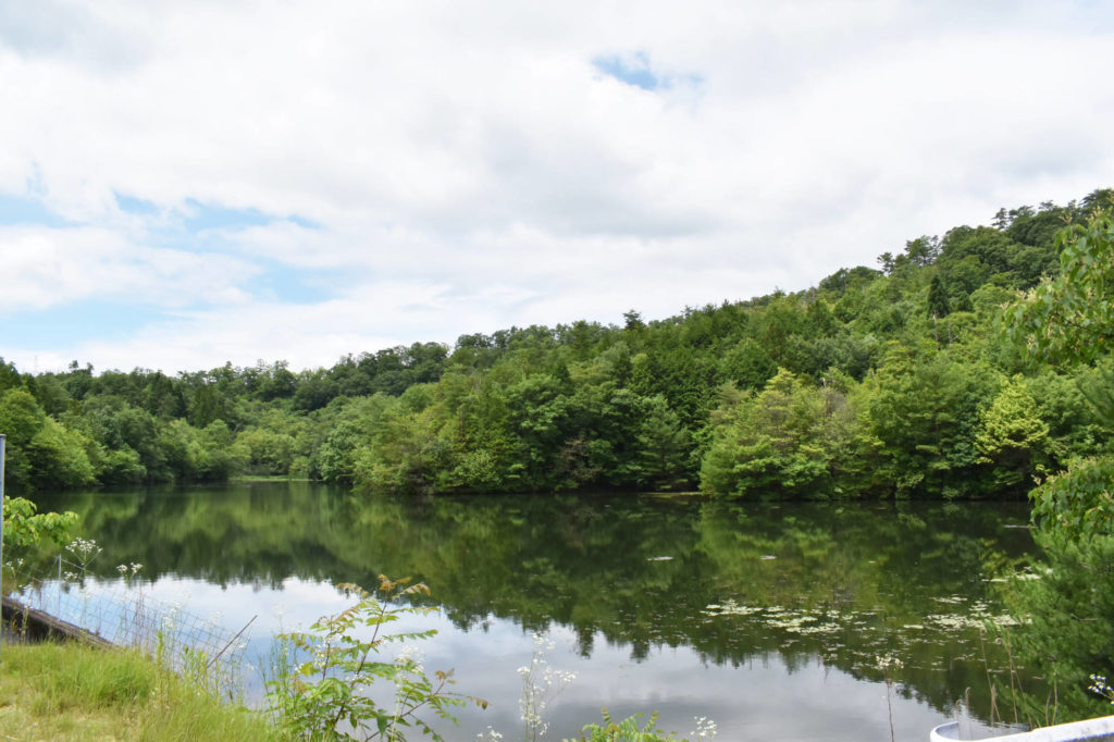 令和7年度産米　ヒノヒカリ 5kg