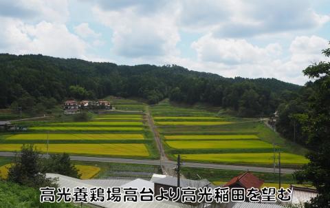 豊栄米付き 広島へそ丼セット