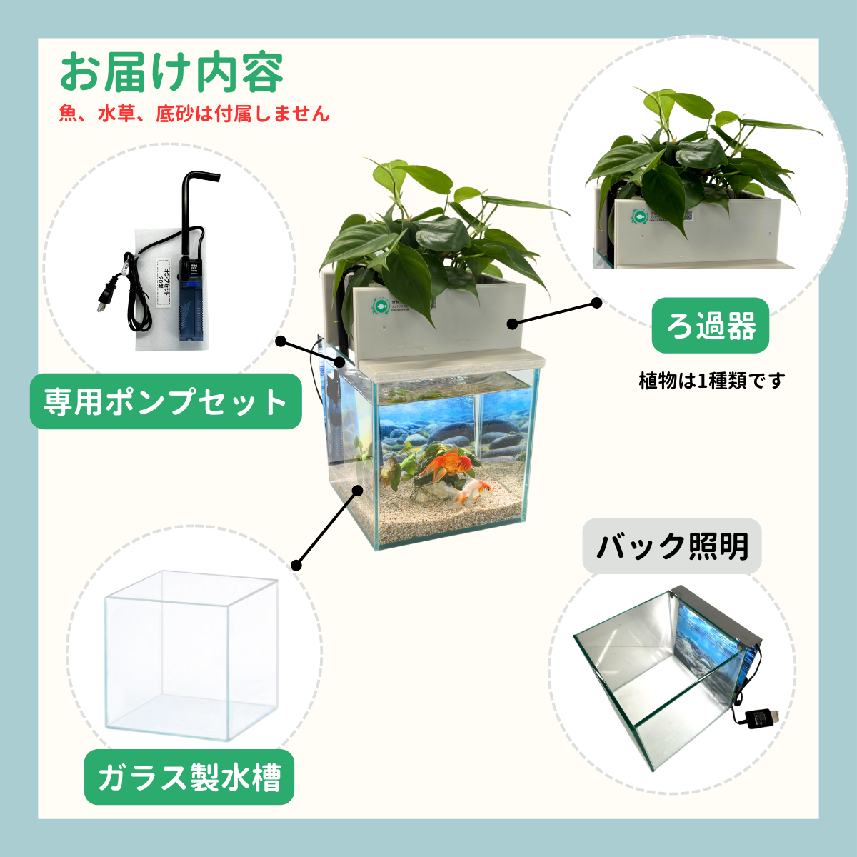 せせらぎビオトープ　25cm型基本+照明セット（アンスリウム）