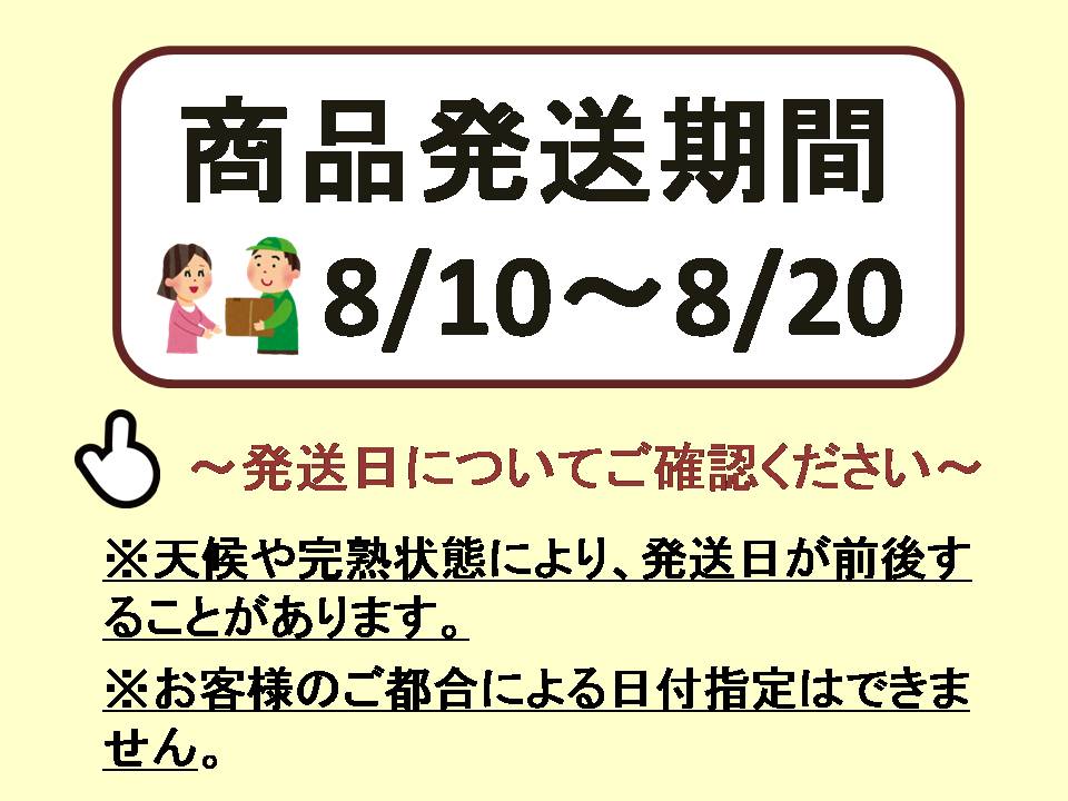【2026年発送分先行予約】クイーンセブンと食べ比べセット（約2ｋｇ）　8月中旬発送　広島　農家直送・新鮮朝採り　【配送不可：離島】【【※お届け日指定不可】