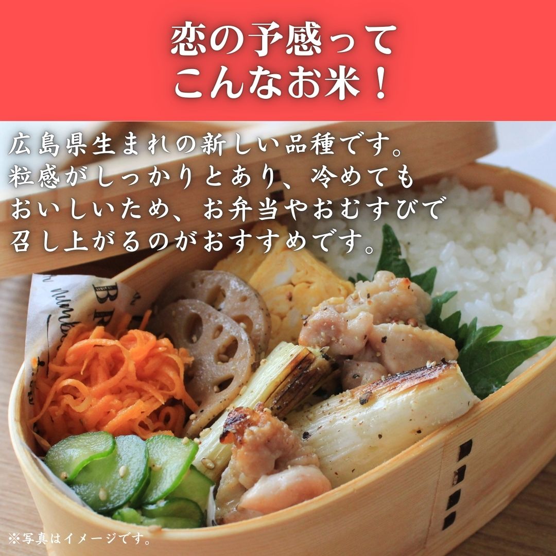 令和7年産　東広島市産米　恋の予感　無洗米　5kg