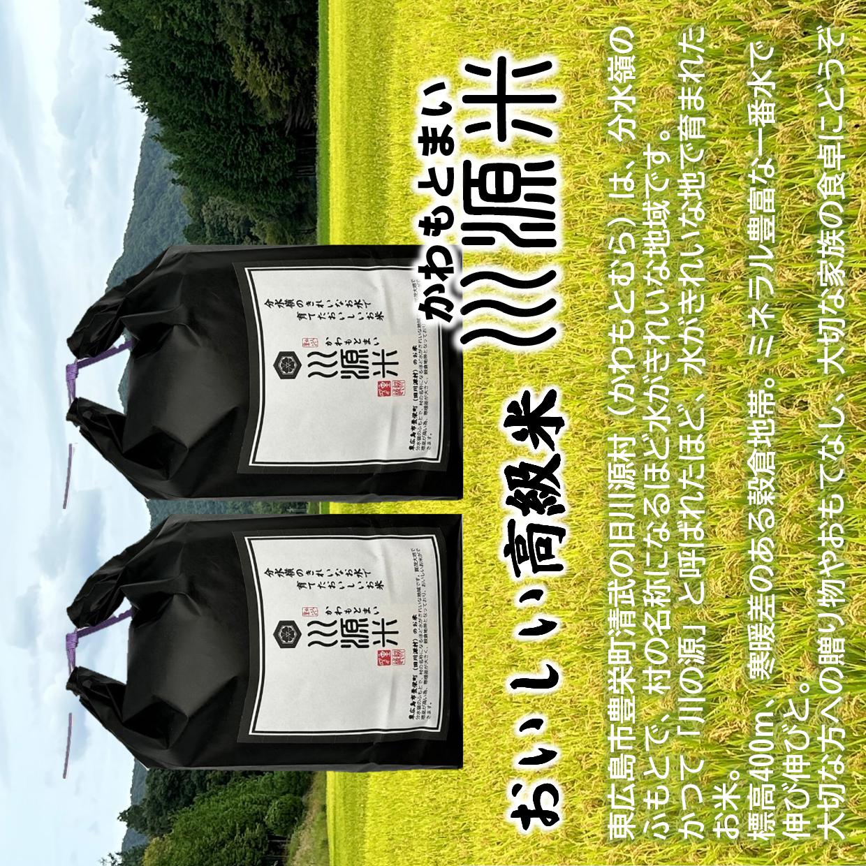 川源米　令和7年産こしひかり　出荷直前精米　10kg(5kg×2袋)