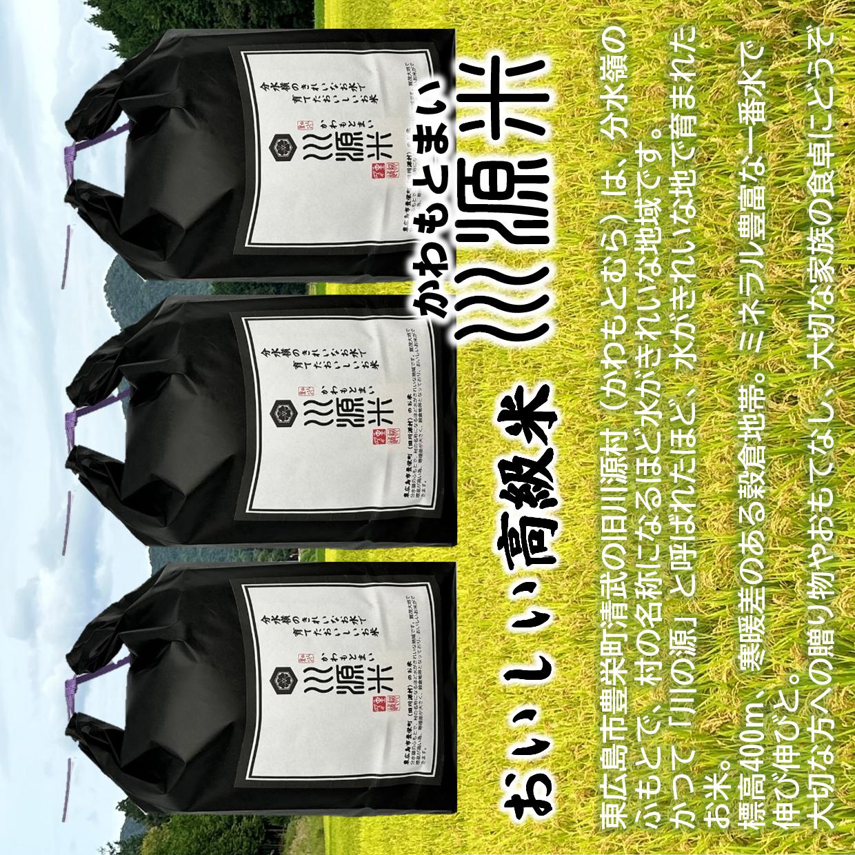 川源米　令和7年産こしひかり　出荷直前精米　15kg(5kg×3袋)