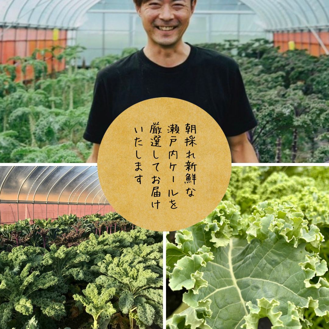 瀬戸内ケール（5袋）と瀬戸内ケールかりんとう（5袋）の食べ比べセット