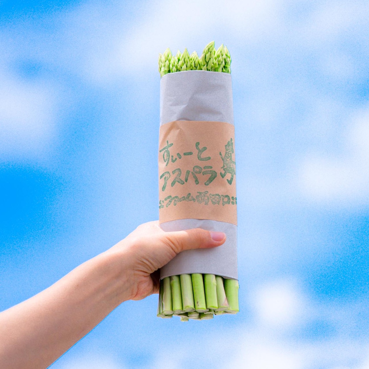 【予約商品】朝採れ直送 すいーとアスパラ 1kg【配送時期:4月上旬～10月上旬】