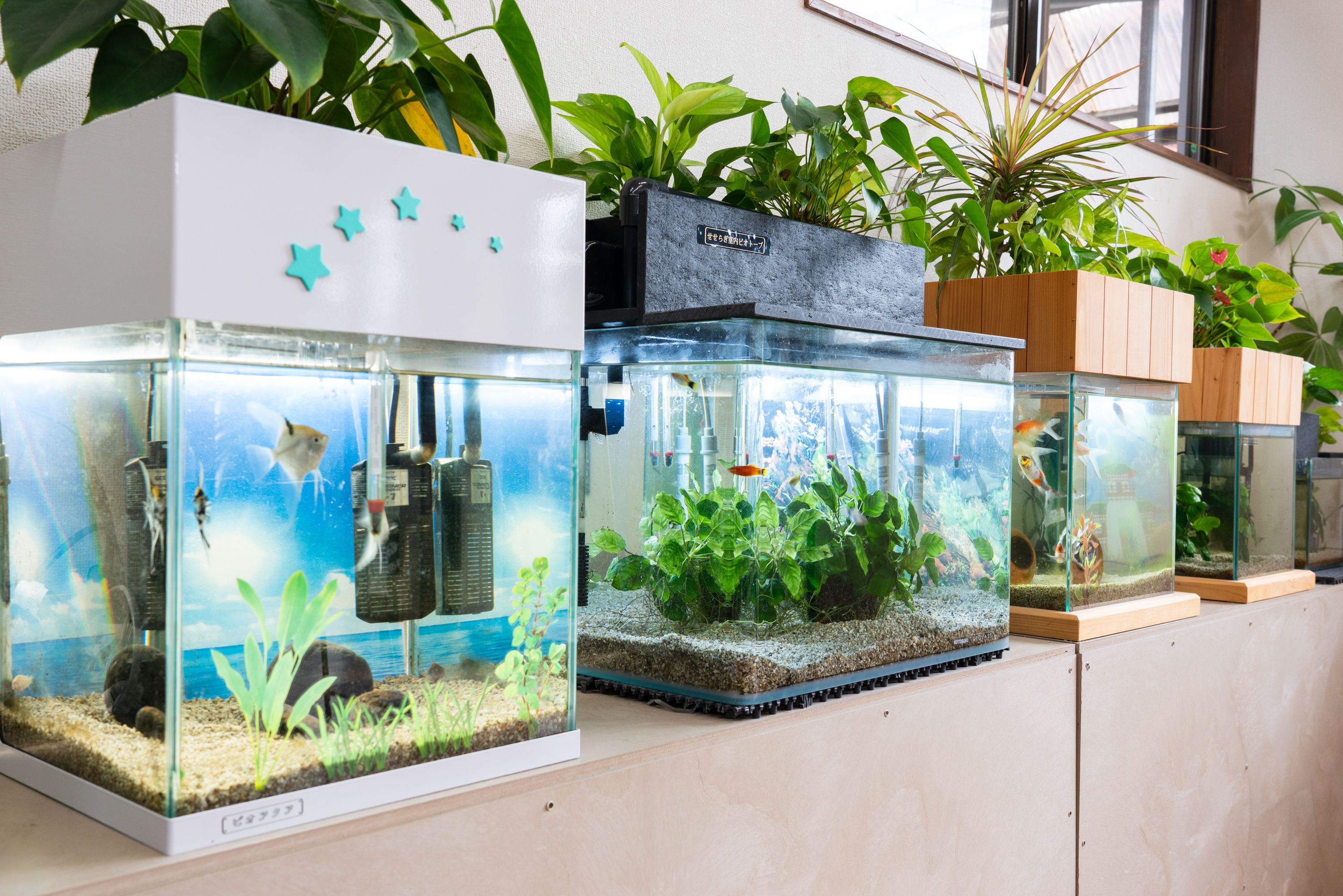 せせらぎビオトープ　45cmろ過装置・縁あり水槽用（※水槽はついていません）