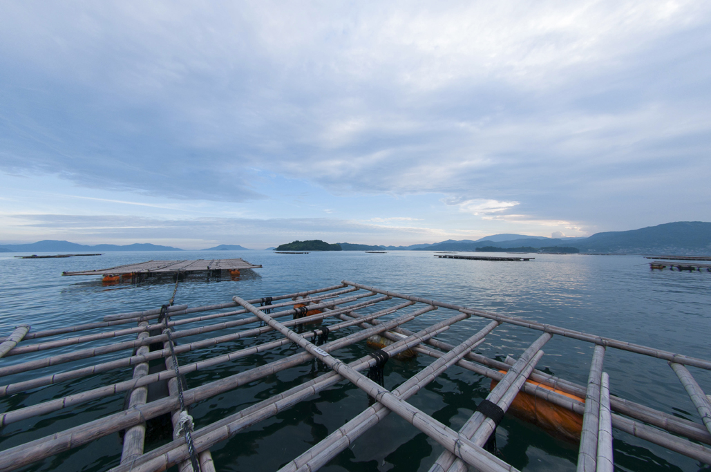 広島安芸津産　牡蠣むき身 2kg【配達不可：離島】【配送時期:2026年3月～4月中旬】
