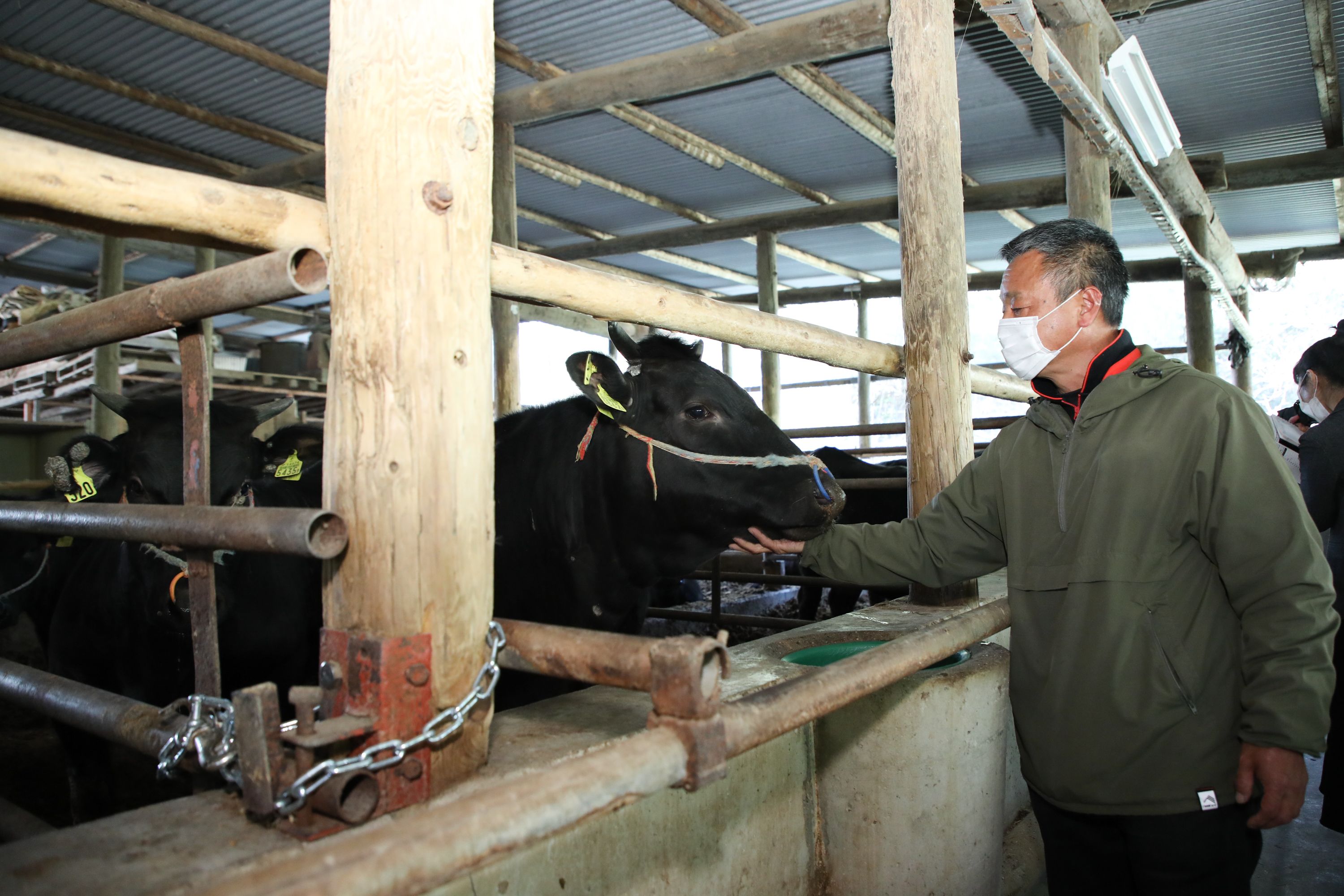 黒瀬牛 すき焼きしゃぶしゃぶ用 1kg【配達不可：北海道・沖縄・離島】
