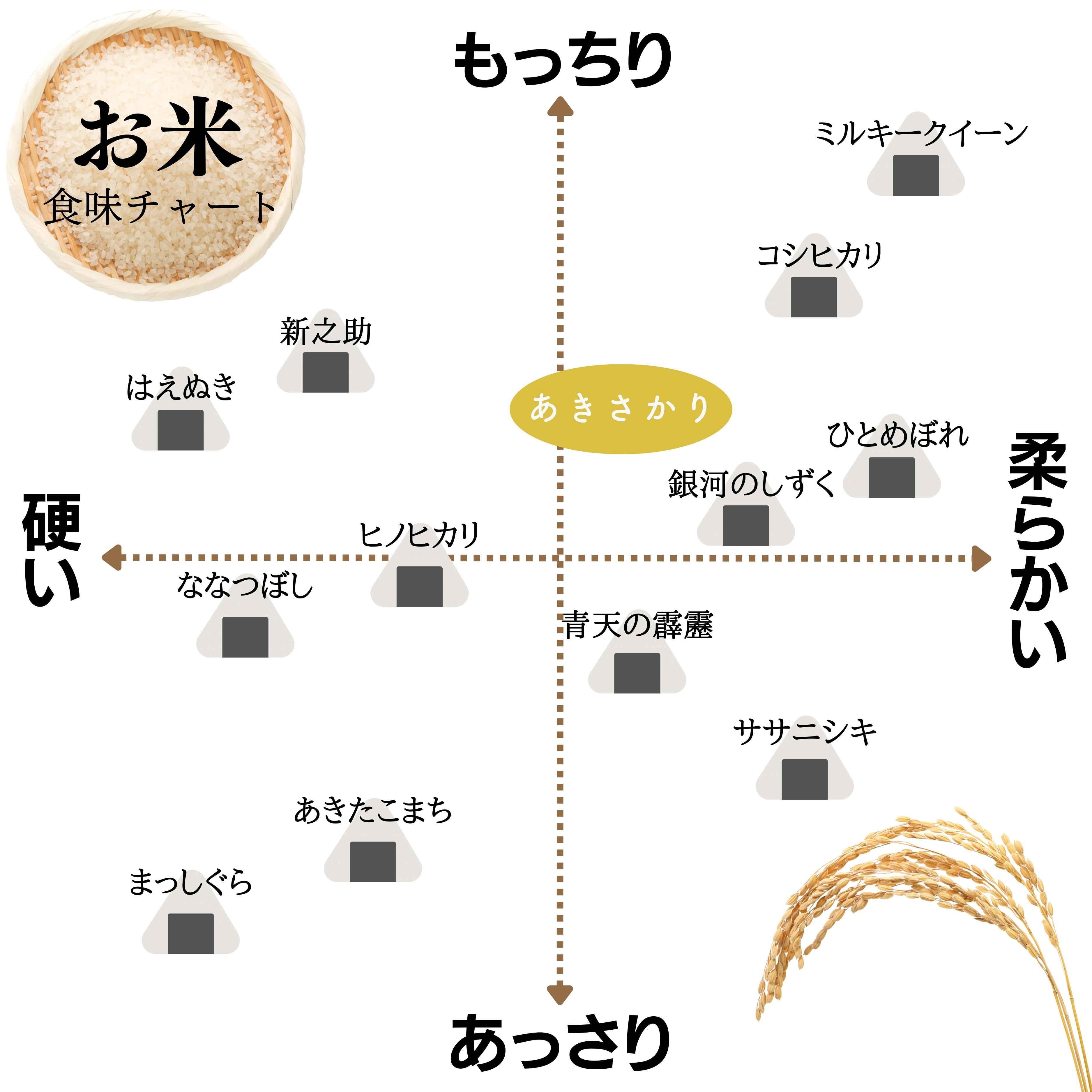 【定期便】令和7年産 10kg 【12ヵ月連続お届け】 計120kg 広島県産 あきさかり お米マイスター厳選