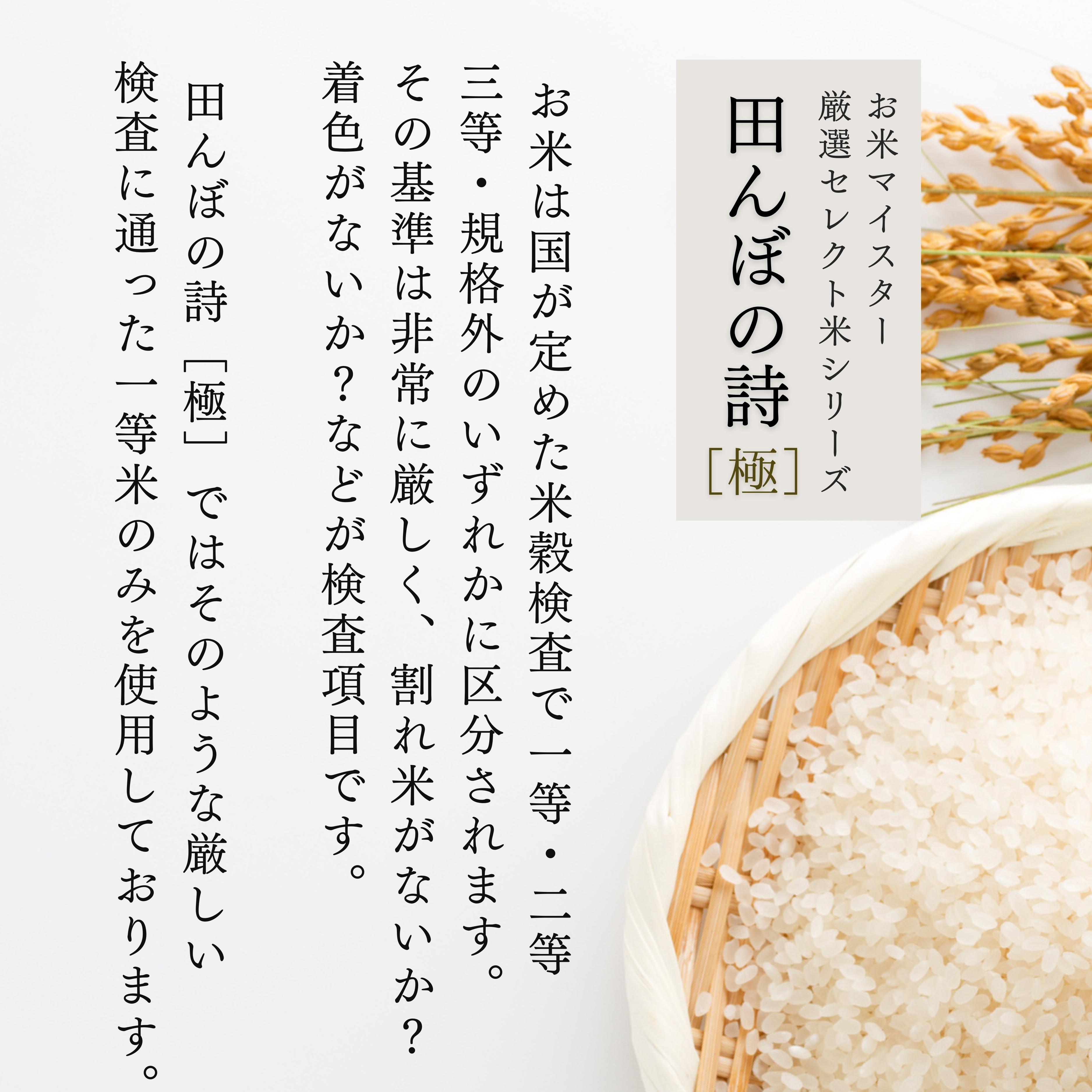 【定期便】令和7年産 5kg 【12ヵ月連続お届け】 計60kg 広島県産 お米マイスター厳選米 【出荷直前精米】