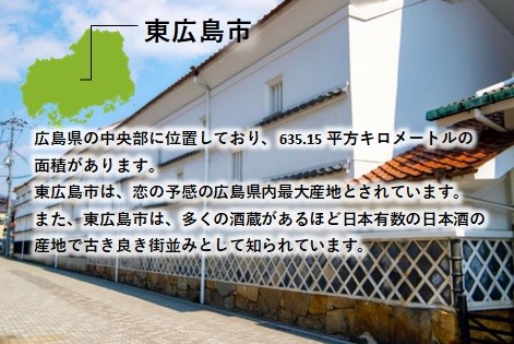 キューブ型 無洗米 恋の予感2合(300g)×6個セット ギフト 個包装 真空パック