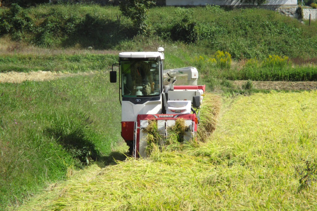 令和7年度産米　ヒノヒカリ 5kg