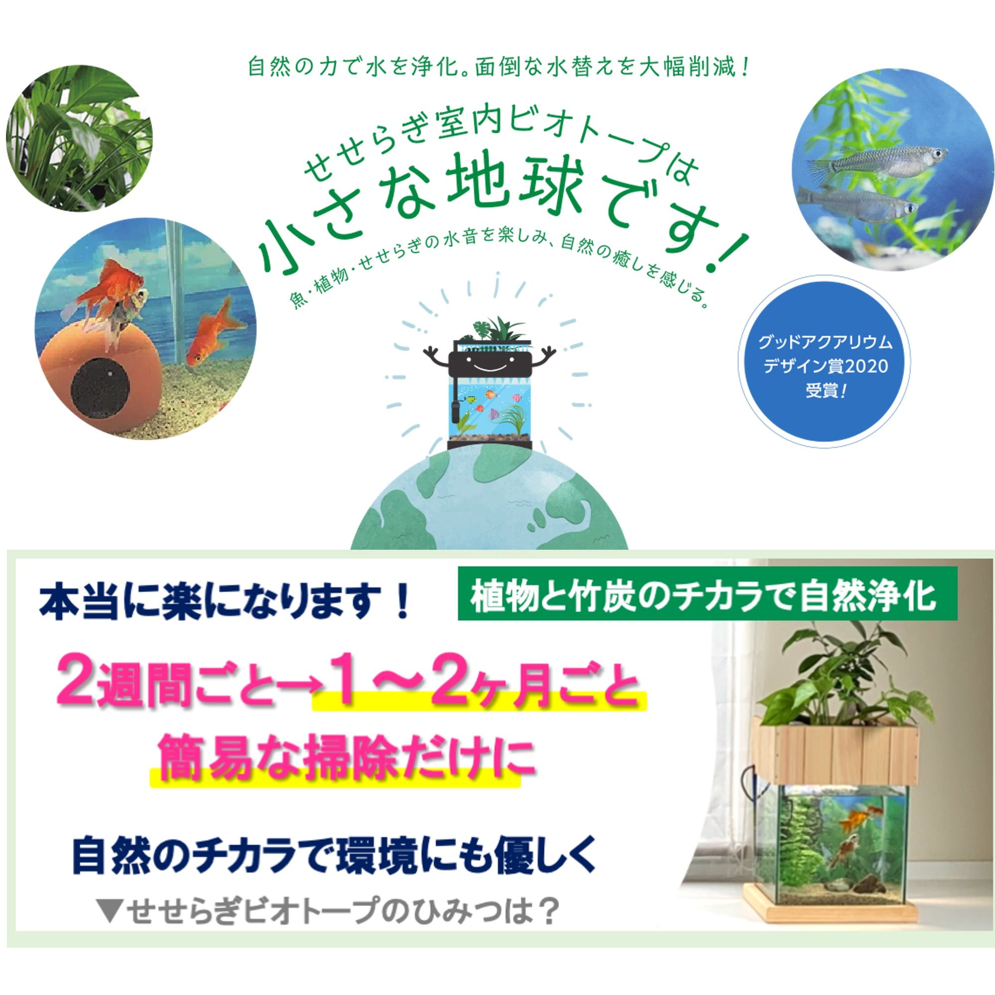 せせらぎビオトープ　25cm型基本+木枠台セット（アンスリウム）