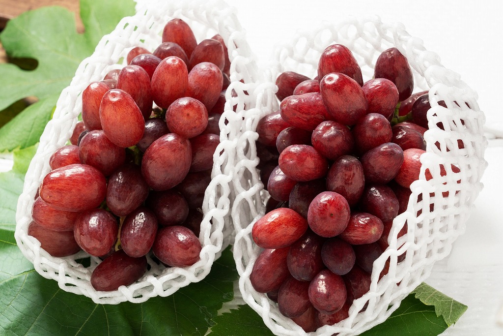 【2026年発送分先行予約】クイーンセブン　2房（約1ｋｇ）　8月中旬発送　広島　農家直送・新鮮朝採り　【配送不可：離島】【※お届け日指定不可】