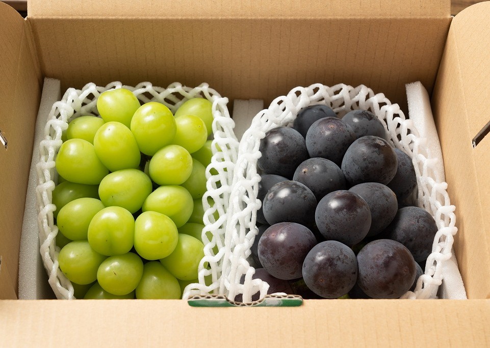 【2026年発送分先行予約】ナガノパープル・シャインマスカット　2房セット（約1kg）　8月下旬発送　広島　農家直送・新鮮朝採り【配送不可：離島】【※お届け日指定不可】