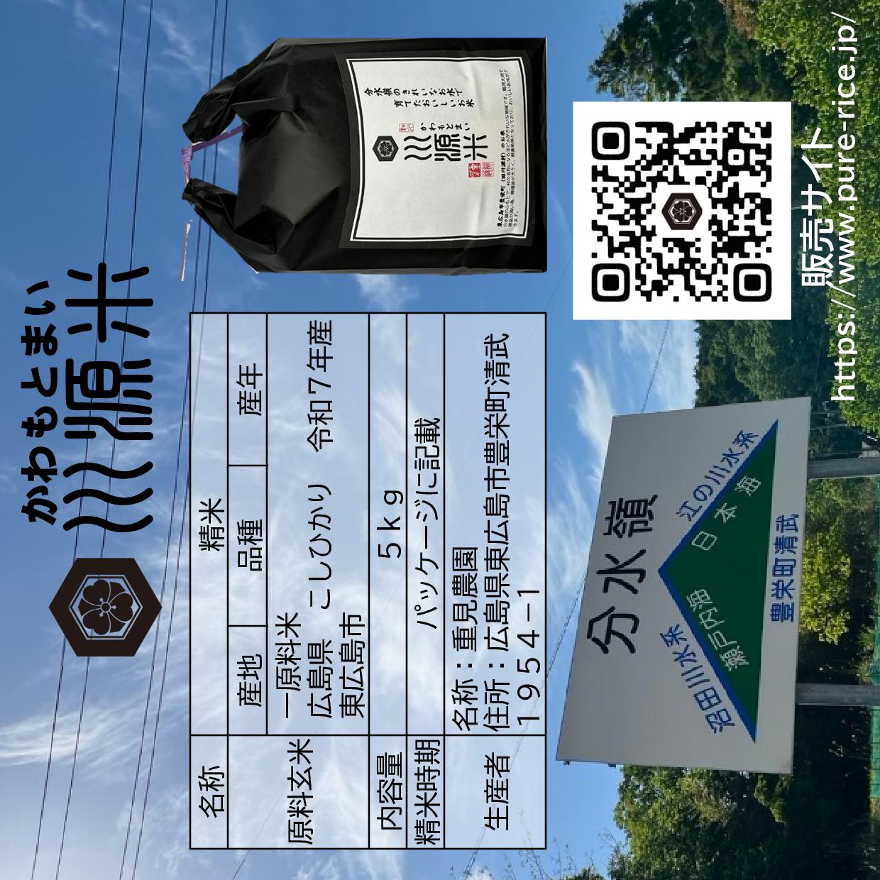 川源米　令和7年産こしひかり　出荷直前精米　5kg